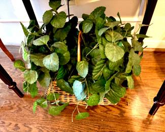 Basket of greenery