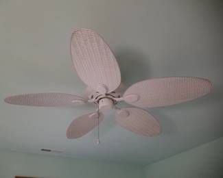 Ceiling fan