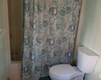 Shower curtain; updated toilet