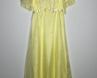 Sylvia Ann 1960’s vintage prom dress 
