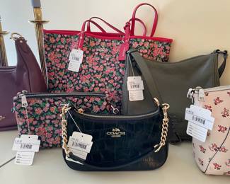 Coach Teri Shoulder Bag