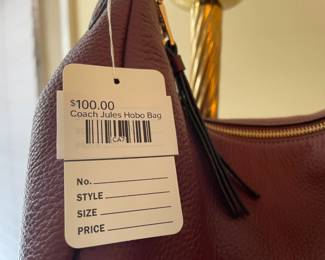 Coach Jules Hobo Bag