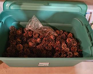 Pinecones