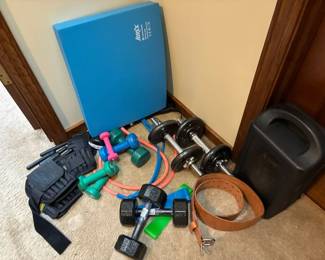 Hand Weights Ankle Weights And Foam Balance Board