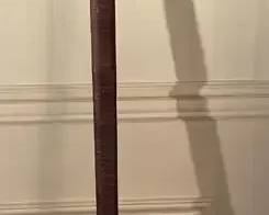 Blow Dart Gun And 12in Darts