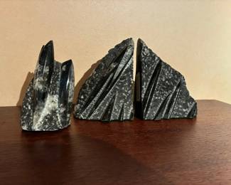 Devonian Era Fossil Bookends