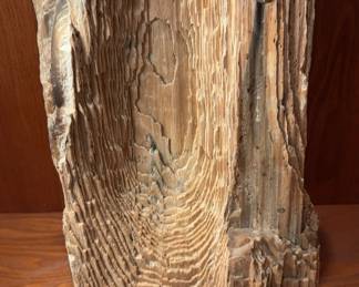 Petrified Wood