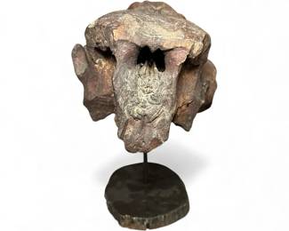 Ancient Animal Skull Fossil Mammoth Cave Bear