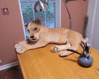 Loving pet that requires no food or litter box