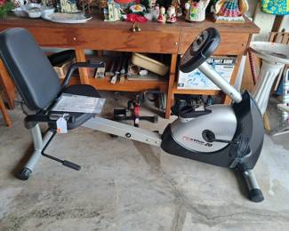 Schwinn exerciser for legs and feet