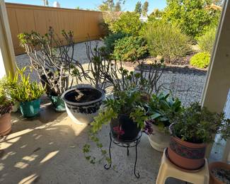 Plants and pots and pots and plants in pots.