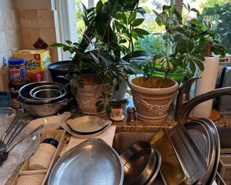 Plants in pots and more kitchen