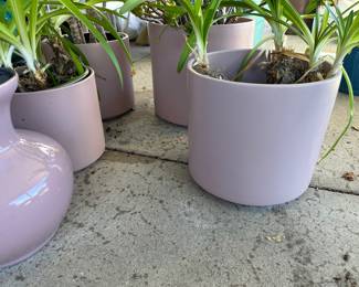 it’s a pink pink, pink pink world, especially in planting pots