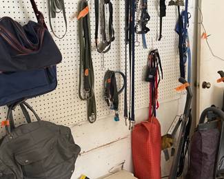 Dog collars, bowls, leashes