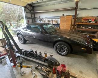 Firebird's home, protected of course!