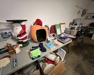 Surprises and n the garage 