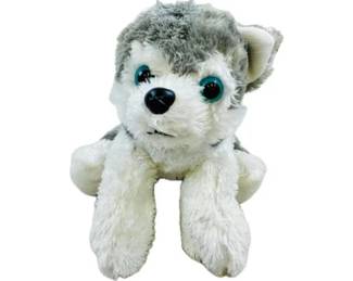 Fluffy Blue Eyed Husky