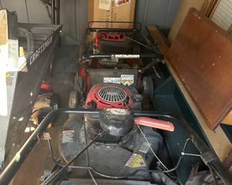 Mower in storage area in back yard as well as other items 