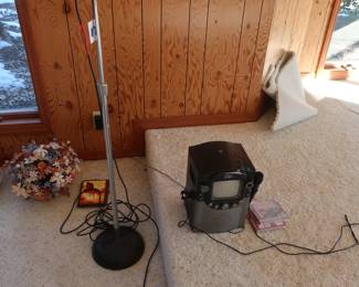 the  singing machine and  microphone