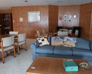 view   of  finished lower level