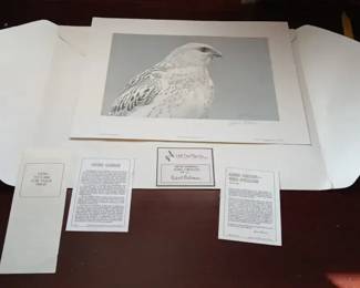 Robert Bateman Arctic Portrait White Gyrfalcon