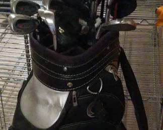 Wilson and Ping Golf Club Set