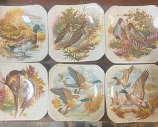 Royal Adderly Coasters