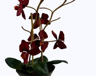 2593 - Faux Orchid 24 x 12 x 8
