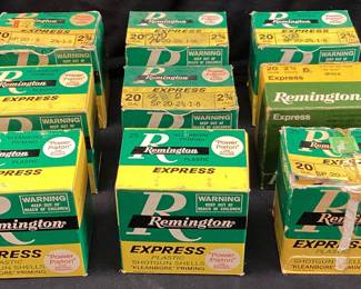 (9) BOXES OF REMINGTON 20ga SHOTGUN AMMO