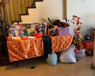 Lots of Halloween costumes, accessories & decor- indoor & outdoor 