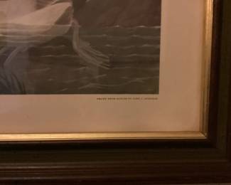  canvas backed ducks framed print