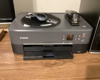 Computer Mouse on MousepadStaplerCanon Ts6420 Printer