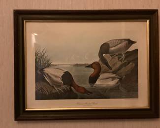 canvas backed ducks framed print