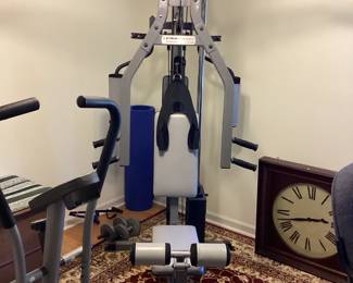 Ever Young All In One Power Gym