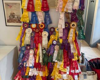 Huge Collection of Horse Show Ribbons