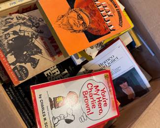 Large Collection of Vintage Paperbacks