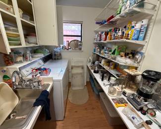 Variety of cleaning supplies and food storage