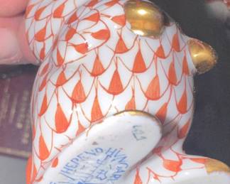 Bunny up close and personal