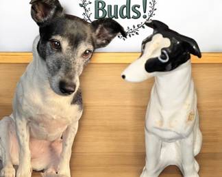 my child making friends