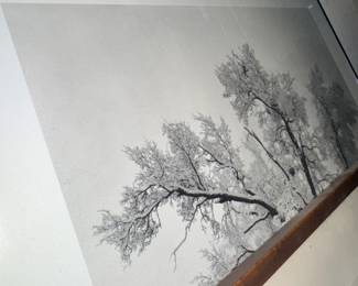 Ansel Adams style print