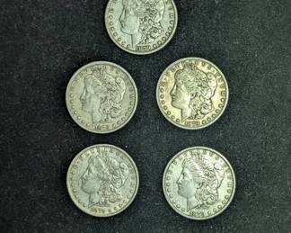 1879 MorgansBest of the Bunch