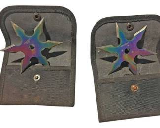 Ninja Stars In Cases 