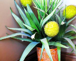  Agave or Dracaena Flower Arrangement