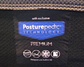 Amish Handcrafted Rustic Log King Bed