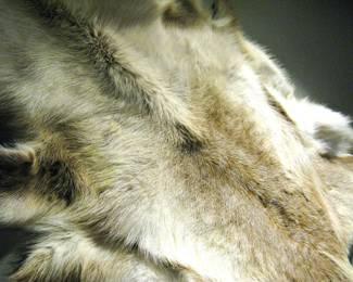 Real Reindeer Hide Rug