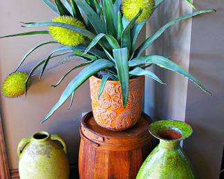 Agave or Dracaena Flower / Old Barrel 