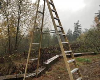12 Foot A Frame Ladder
