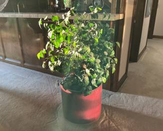 One of many faux plants and florals