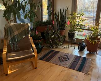 Ikea Poäng armchair, greenery throughout the house