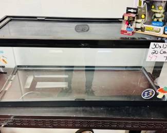 20 Gallon Tank 